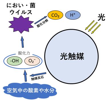 光触媒／機能模式図